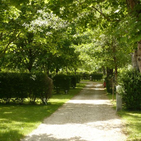 PARCELA - Paquete de camping 1 parcela para tienda, caravana o autocaravana, elec. 10 A 2 pers. y + (ver opciones)