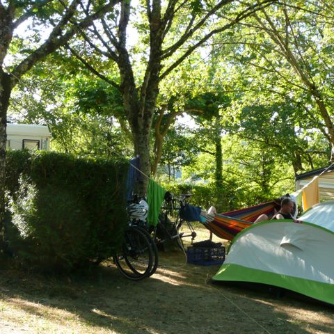 Parcela - Tasa de acampada diaria