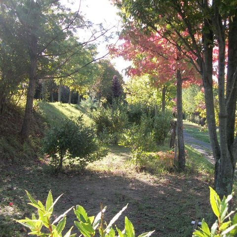 Pitch - 10/40 m² tent or caravan