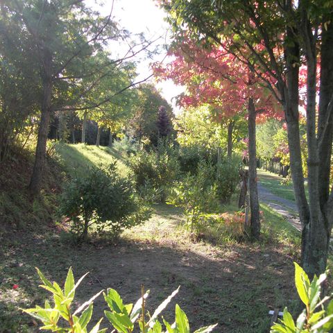 EMPLACEMENT - tente ou caravane 10/40 m²