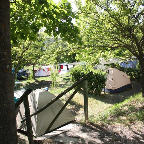 Kampeerplaats - 10/40 m² tent of caravan