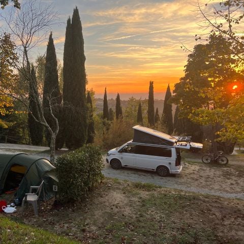 Pitch - 10/40 m² tent or caravan