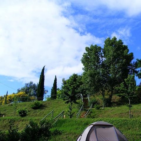 PIAZZOLA - 10/40 m² tenda o roulotte