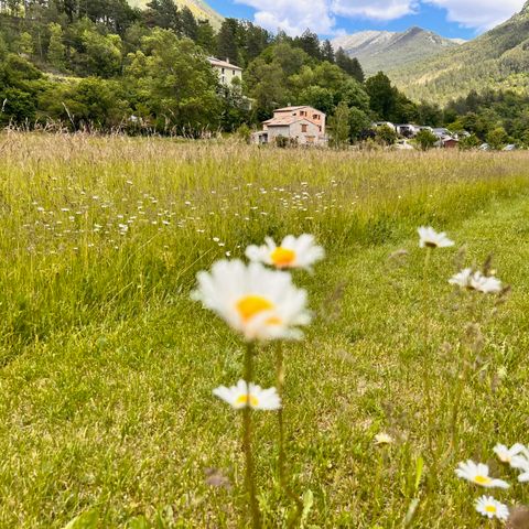Chalet 6 persons - CANELLE(mountain view) 3 bedrooms
