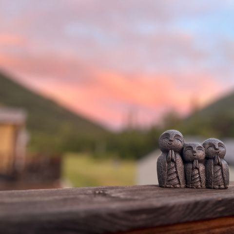 CHALET 4 people - VANILLA (mountain view) 2 bedrooms