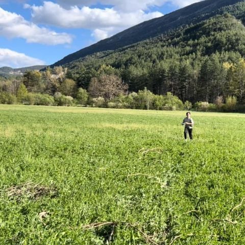 PLOT - Camping site for tents and camper vans