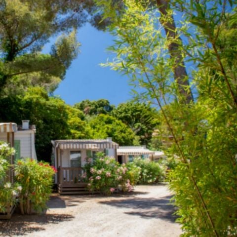 Mobilheim 2 Personen - Astria