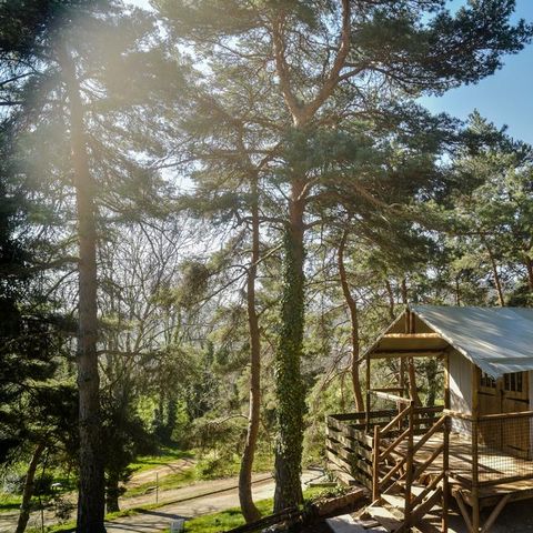 Camping Chanset Camping Chanset - Camping Puy-de-Dome - Image N°15