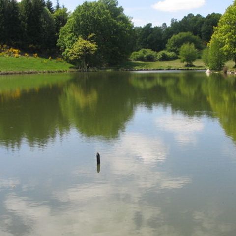 Camping de l'Etang Camping de l'Etang - Camping Cantal - Image N°2