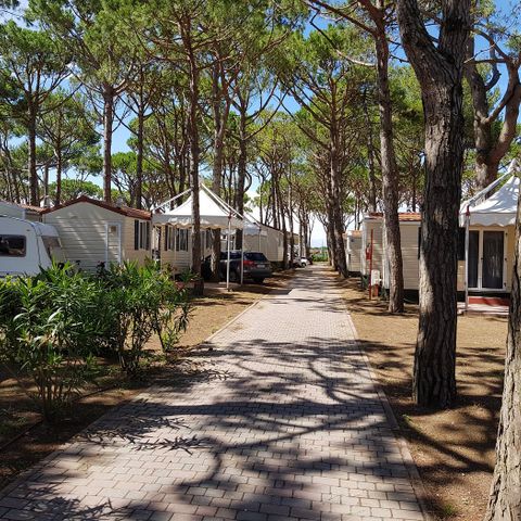 Camping Cavallino Camping Cavallino - Camping Venise - Image N°34