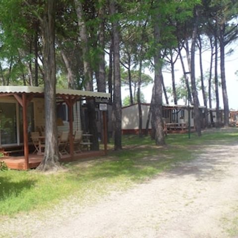 Mobile home 5 persons - SunLodge Redwood (arrival in high season on Friday)