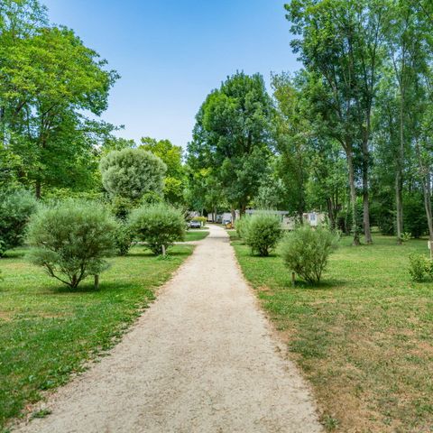 PLOT - Pitch | Essential | Tent | Vehicle + 7m | 100m² - 120m² | Electricity | No water