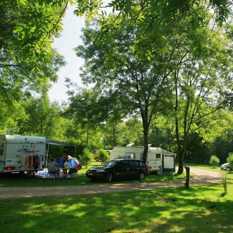 Stellplatz - Stellplatz Confort XL +100m²