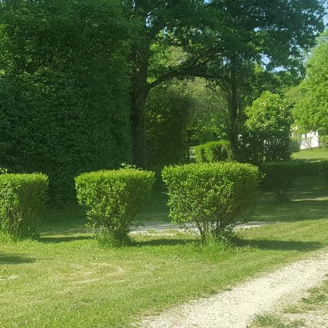 Stellplatz - Stellplatz Confort XL +100m²