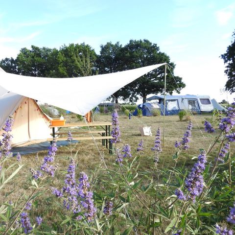 PLOT - Pitch package (2 persons + 1 vehicle included)