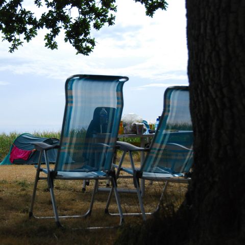 PLOT - Premium pitch package (2 people + 1 vehicle included)