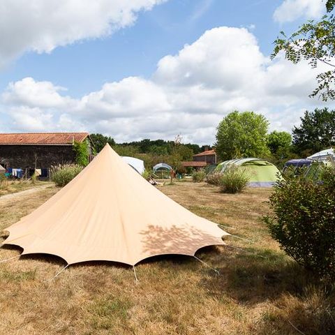 PLOT - Premium pitch package (2 people + 1 vehicle included)