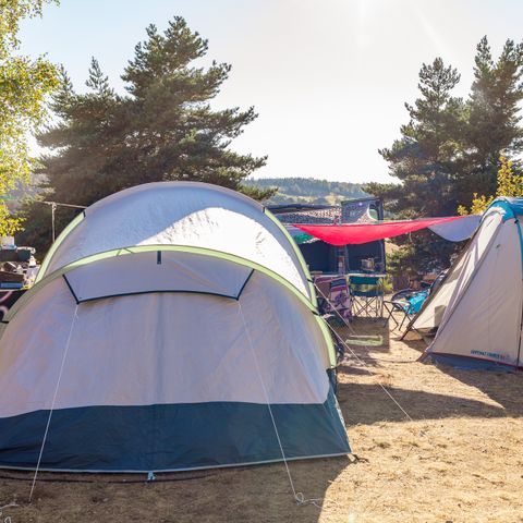 STAANPLAATS - Comfort standplaats, 1 installatie, 1 voertuig, 1 aansluiting, 2 personen