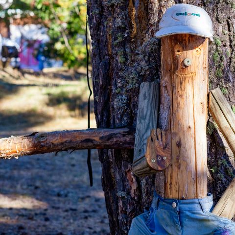 Stellplatz - Komfortstellplatz, 1 Anlage,1 Fahrzeug, 1 Anschluss , 2 Personen