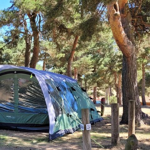 PARCELA - Parcela confort, 1 instalación, 1 vehículo, 1 conexión, 2 personas