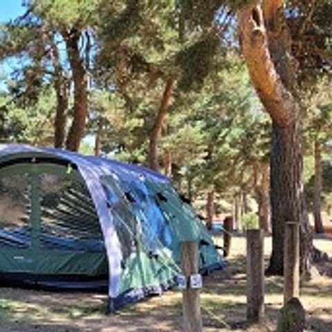 PLOT - Standard pitch, 1 installation, 1 car, 1 person