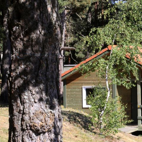 CHALET 5 persone - Stella alpina