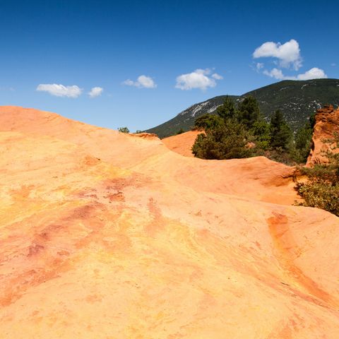 Camping Les Rives du Luberon - Camping Vaucluse - Image N°19