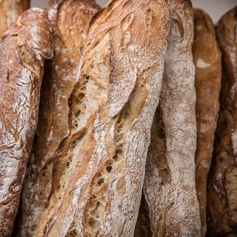 Camping Les Rives du Luberon - Camping Vaucluse - Image N°13