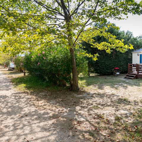 Camping Les Rives du Luberon - Camping Vaucluse - Image N°14