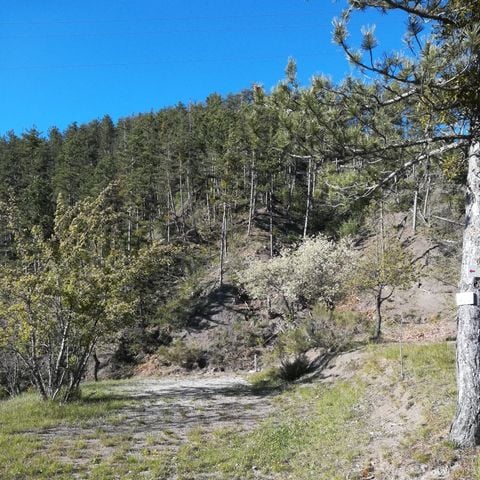 Pitch - Privilege package (1 caravan or motor home / 1 car / 10A electricity) 110m² and over