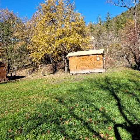 Stellplatz - Premium-Paket Freecamp Original