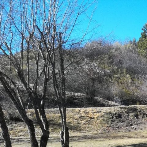 BUNGALOW 5 personnes - Cabane Lodge sur Pilotis 34m² 2 chambres + terrasse