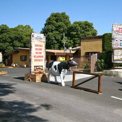 Camping Le Ranch des Volcans Camping Le Ranch des Volcans - Camping Puy-de-Dome - Image N°15