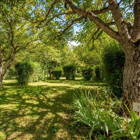 STAANPLAATS - Comfort standplaats pakket