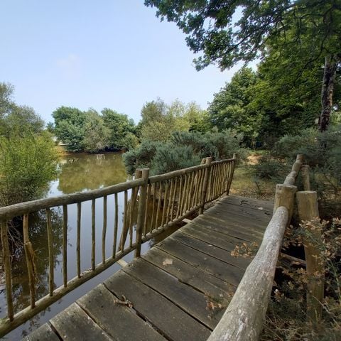 Camping la Vie  - Camping Vendée - Image N°4