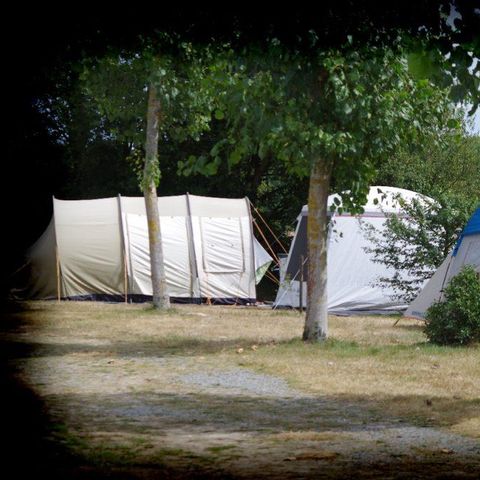 Kampeerplaats - Standplaats + voertuig