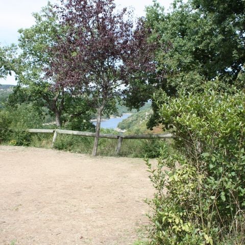 Pitch - Nature package (1 tent, caravan or camper / 1 car)