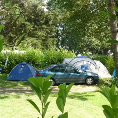 PARCELA - Paquete confort (1 tienda o caravana / 1 coche / electricidad 10A)