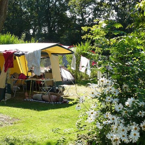 PARCELA - Paquete confort (1 tienda o caravana / 1 coche / electricidad 10A)