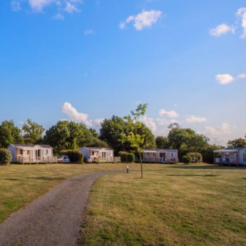 Stacaravan 6 personen - Huitre