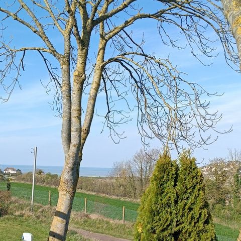 BUNGALOW 4 personnes - O'hara 784 TG