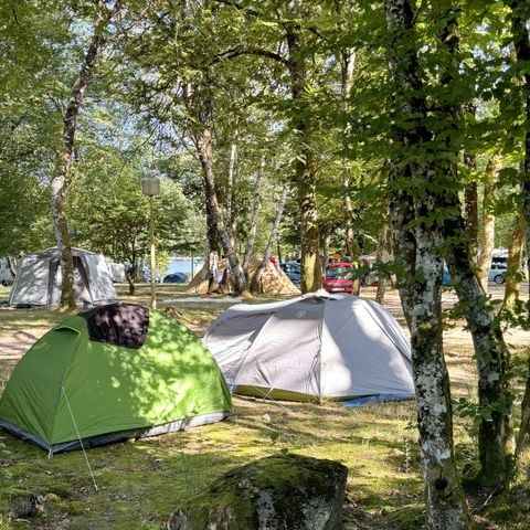 Kampeerplaats - STANDAARD locatie
