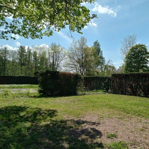 PLOT - Comfort pitch with electricity 2/6 pers