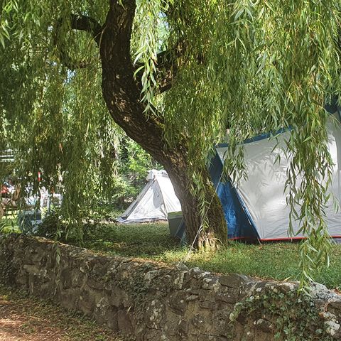 STAANPLAATS - Standplaats + 1 auto + tent of caravan