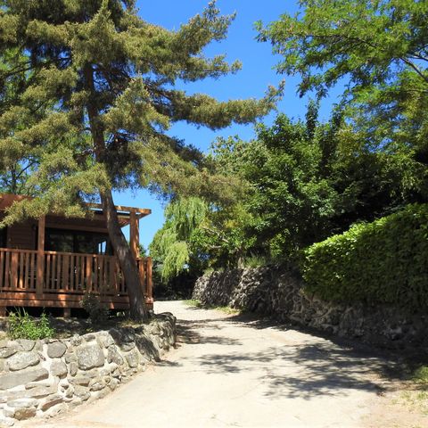Chalet 6 persons - LAURIER all comfort large family