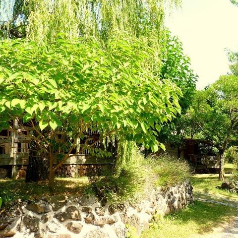 Chalet 4 personen - LAVENDER basis