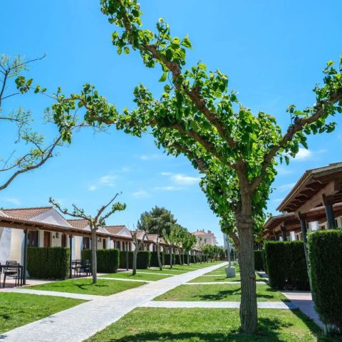 BUNGALOW 4 persone - A1 Classico