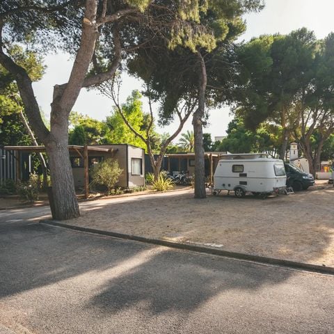 Parcela - Parcela M
