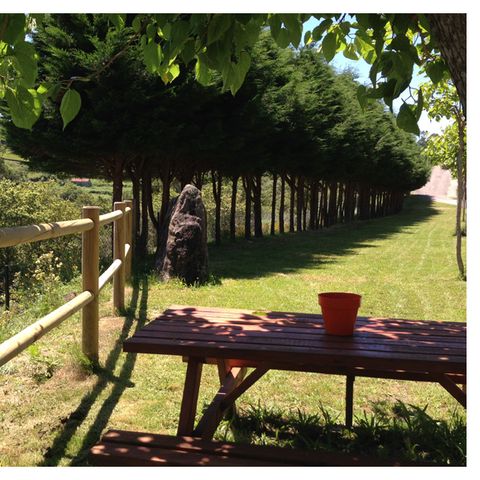 STAANPLAATS - Standaard