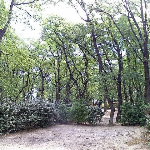 Pitch - 1 tent or 1 caravan or 1 motor home + 1 car + electricity included